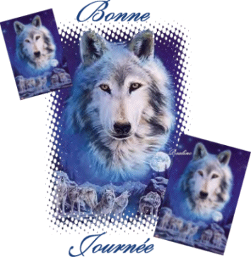 Que le loup nous pardonne